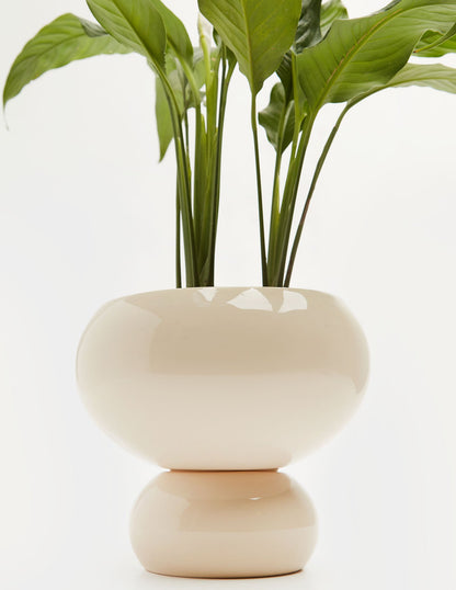 Lirio de la paz en maceta de cerámica | Compra plantas online | Balcón